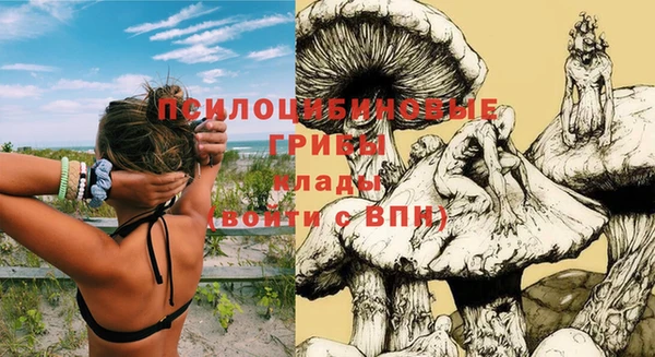 бошки Армянск
