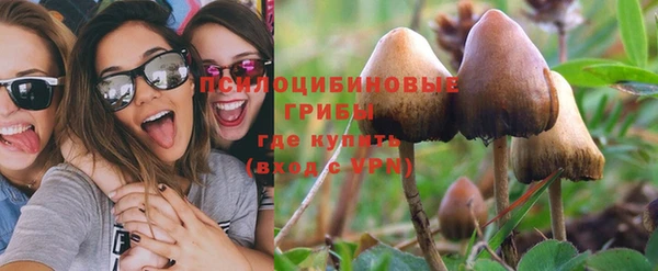 прущий лед Пересвет