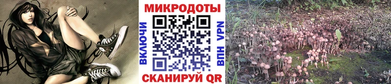 Псилоцибиновые грибы Psilocybe  мега маркетплейс  Менделеевск  хочу наркоту 